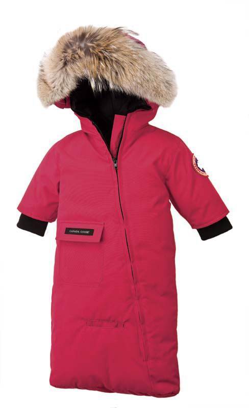 Pink Baby Canada Goose Snow Bunting clearance